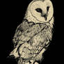 Owl'2