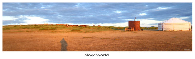 slow world