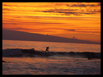 Surfing Sunset