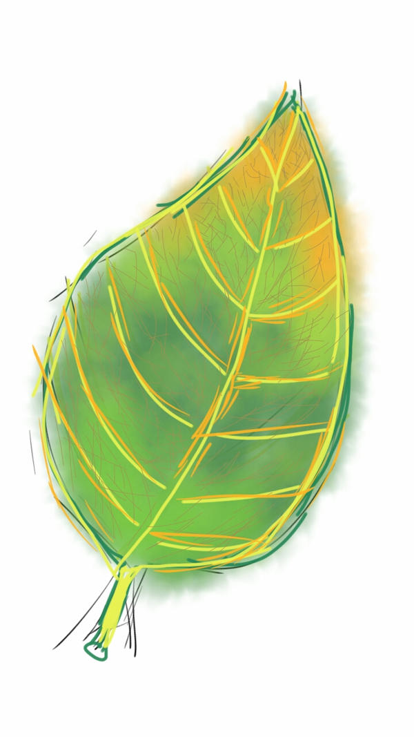 NATURAL TEXTURE: LEAVES by zerginsky on DeviantArt