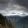 Hurricane Ridge 3