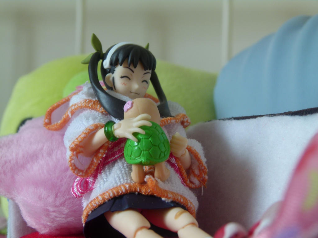 Mayoi and her turtle