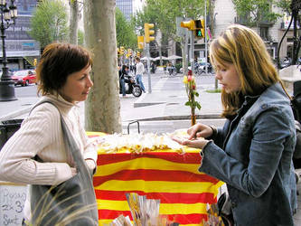 san jordi