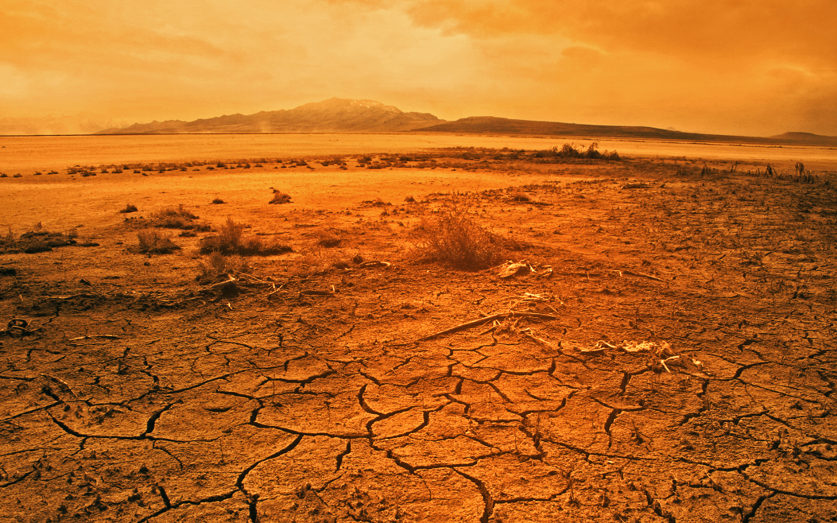 Hot day in the desert