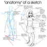 Anatomy of a Sketch