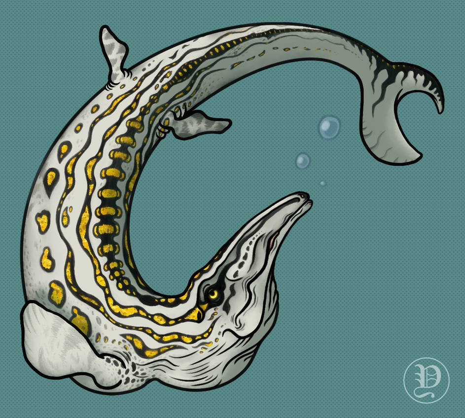 Elegant Mosasaurus by DredHo on DeviantArt
