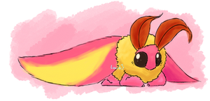 Redraw Of The Rosy Maple Moth!!