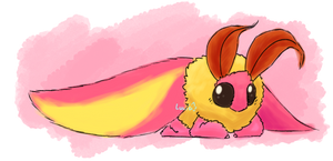 Redraw Of The Rosy Maple Moth!!