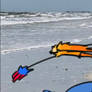 Idiot fought the waves