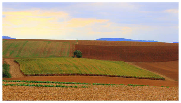 Pastoral