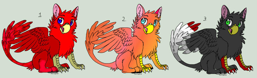 Gryphon Adopts - CLOSED