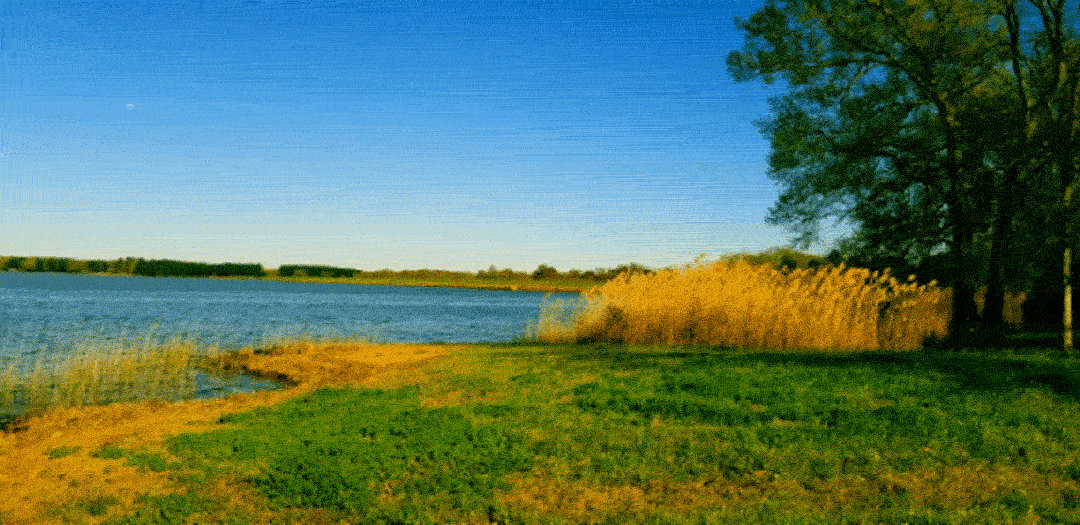 Vivid Lake Animation by DanGoodwin on DeviantArt