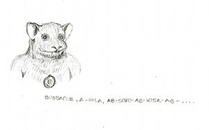 Bubbacub: A Pila