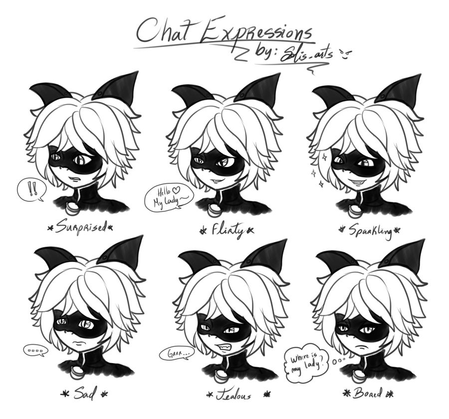 Chat Noir Expressions By Saphinel On Deviantart Chat Noir Expressions By Saphinel On Deviantart