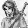 Link: the Hero of Hyrule
