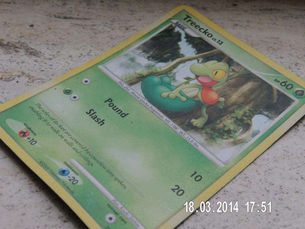 Treecachu Card Treecko Pokemon card. by Kynimfan1 on DeviantArt