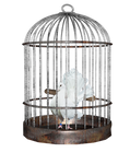 Bird Cage Png