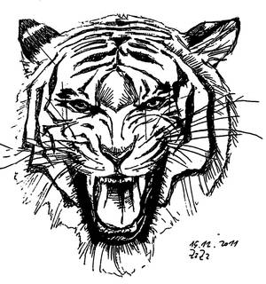 angry tiger