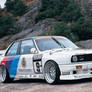 Bmw M3 Touring Car