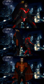 Robin and Nightwing