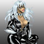 Blackcat3 colored