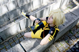 Kagamine Len - Eager Love Revenge