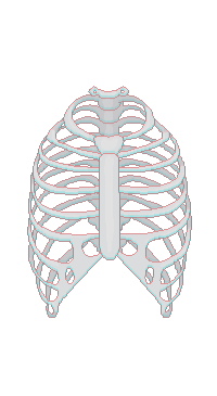 Ribs {F2U} by miz-inthesky on DeviantArt