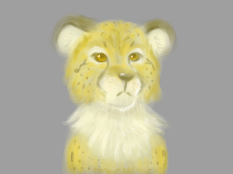 lineless cheetah