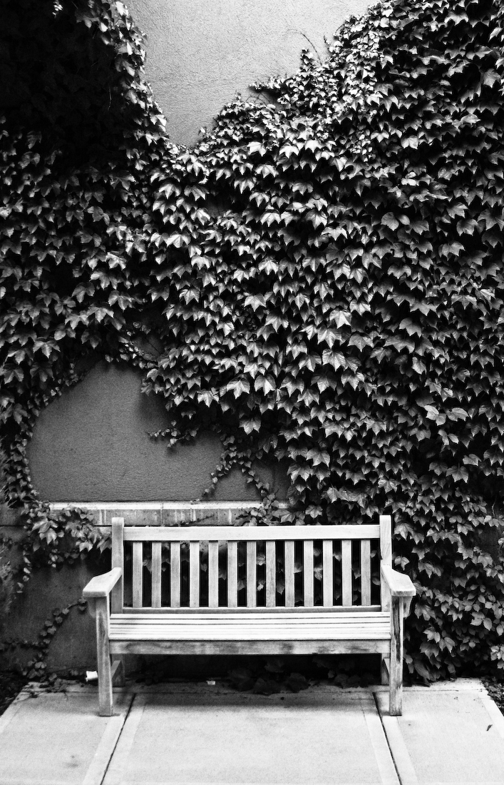 bench n vines