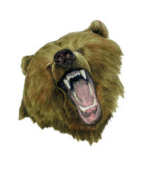 Growling Grizzly