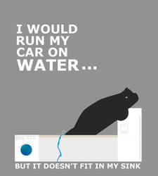 I would run my car on water...