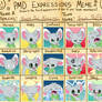 PMD expressions meme - Hope