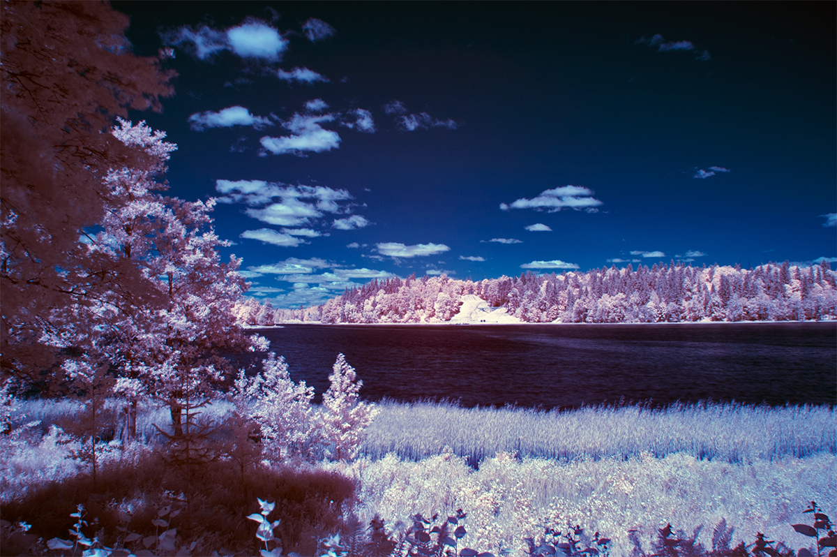 Summer scenes IR