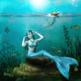 Solace Under The Sea...