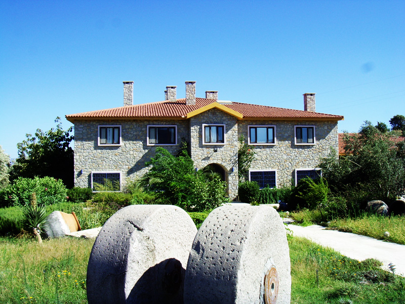 zeytin fabrikasi