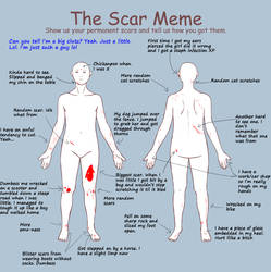 Scar Meme