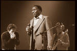 Muddy Waters 1978 3 by DeeBeeCooper