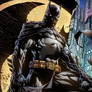 Batman: the Dark Knight