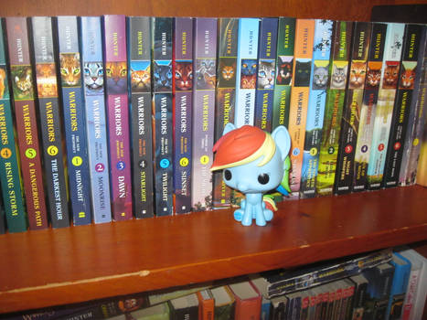 Funko Pop Rainbow