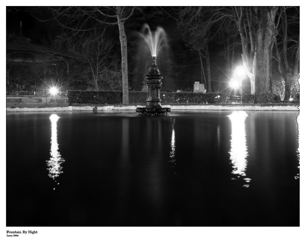 Fountain By Night