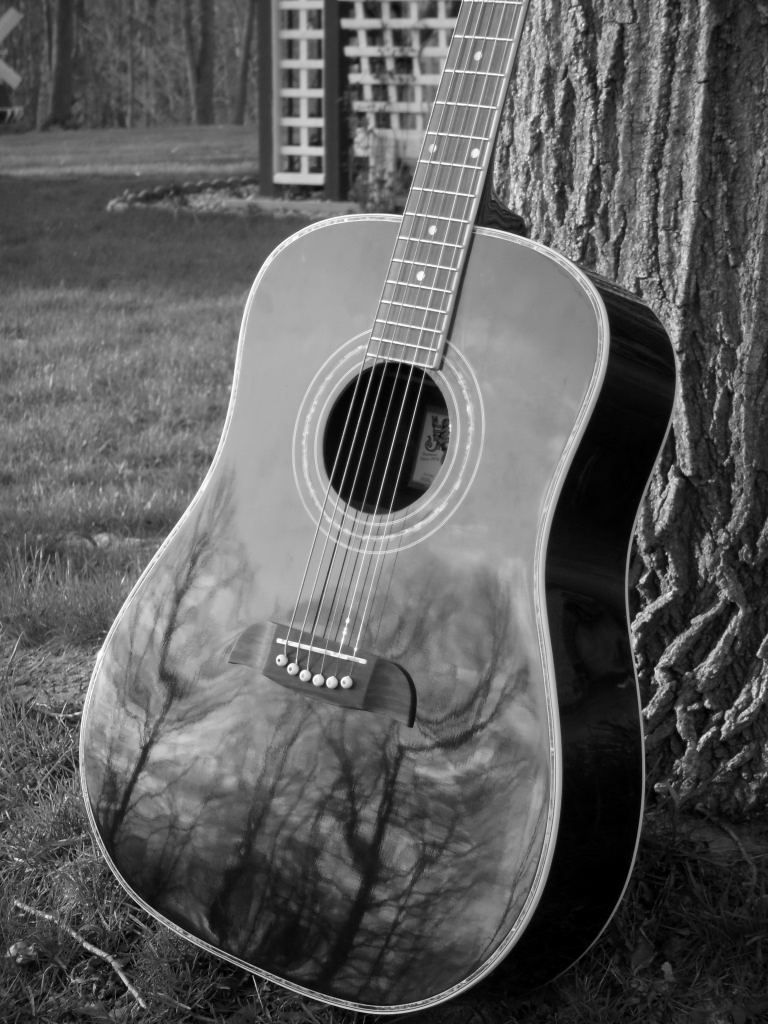 Guitar in the Forest