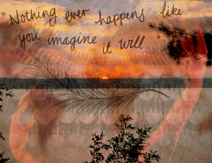 Nothing Ever Happens Like You Imagine it Will