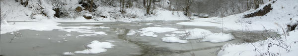 frozen