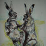 March hares............