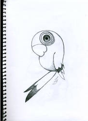 Parrot