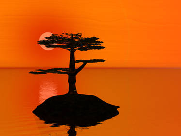 Pine Sunset 2