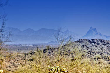 Casa Grande Desert 1