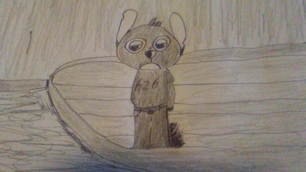 Stitch on the Ocean