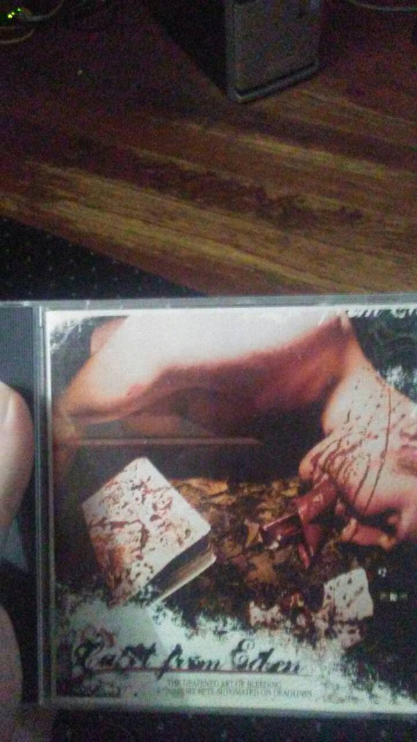 My First Metal Record