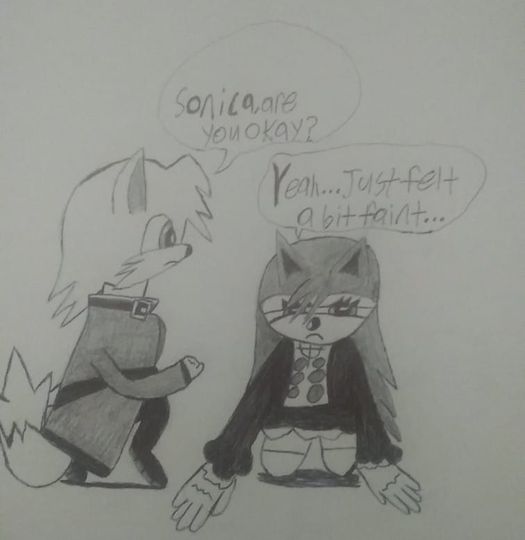Tails and Sonica (Shadow Hearts)